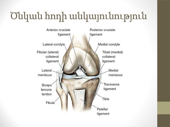 ծնկի հոդի կլինիկական հետազոտություն