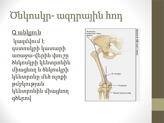 ծնկի հոդի կլինիկական հետազոտություն